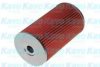 AMC Filter MO-424 Oil Filter